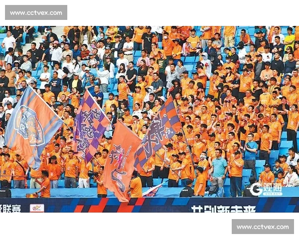 全球热门足球赛事高清直播频道实时赛程解说互动平台观赛社区球迷